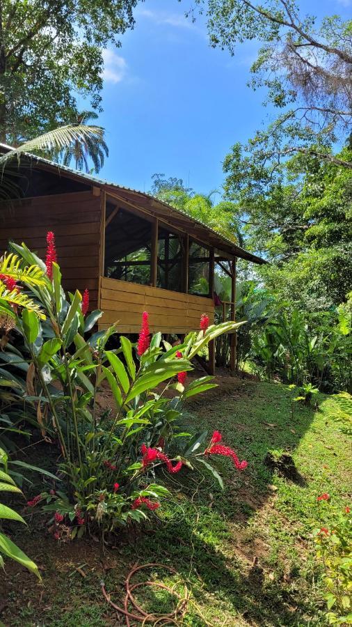 Private Jungle “Loft Del Rio” River Access Увита Экстерьер фото