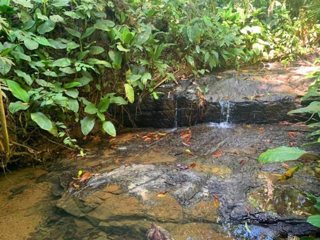 Private Jungle “Loft Del Rio” River Access Увита Экстерьер фото